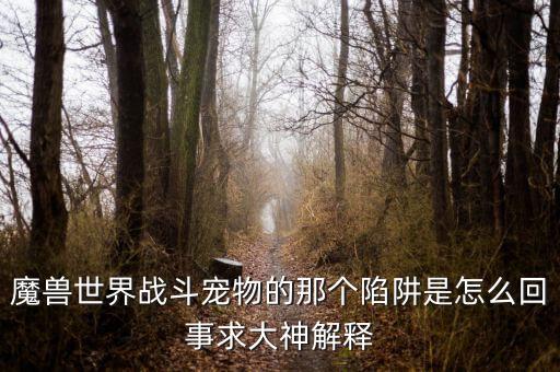 魔獸世界戰(zhàn)斗寵物的那個陷阱是怎么回事求大神解釋
