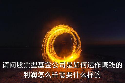 請問股票型基金公司是如何運(yùn)作賺錢的利潤怎么樣需要什么樣的