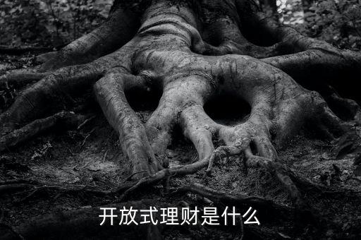 開放式理財是什么