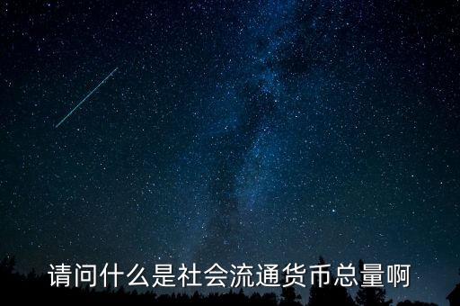 什么是貨幣總量，請(qǐng)問(wèn)什么是社會(huì)流通貨幣總量啊