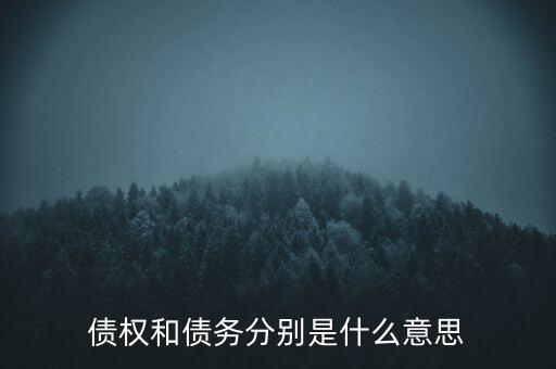 bsp票款債權(quán)是什么，銀行理財(cái)業(yè)務(wù)里面的liborbsp是什么意思