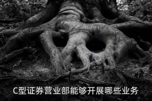 C型證券營業(yè)部能夠開展哪些業(yè)務(wù)