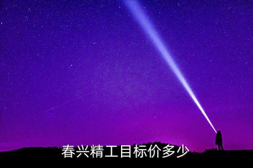 春興精工目標價多少