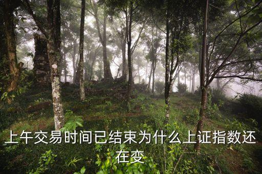為什么上證指數(shù)改了數(shù)據(jù)，29日開市前上證指數(shù)略微調(diào)整了和部分股票的開盤價(jià)已經(jīng)定了是怎么