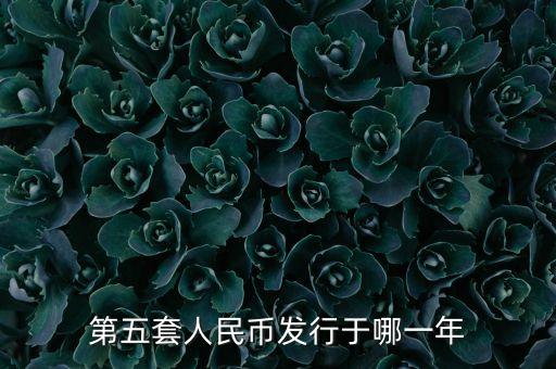 第五套人民幣什么時候發(fā)行，第五套人民幣什么時間發(fā)行