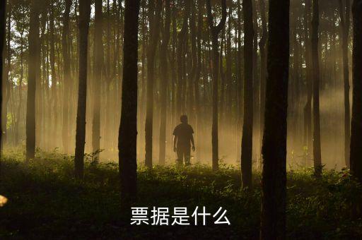 票據(jù)是什么