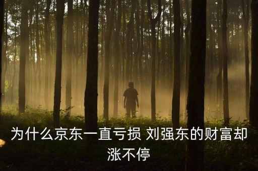 京東為什么虧錢還能上市，為什么京東一直虧損 劉強東的財富卻漲不停