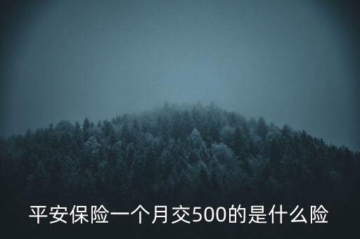 每月500有什么保險(xiǎn)業(yè)務(wù)，平安保險(xiǎn)一個(gè)月交500的是什么險(xiǎn)