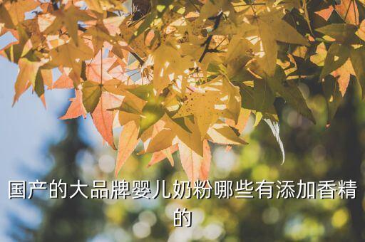 什么牌子奶粉有香蘭素，德國(guó)2加愛他美里有香蘭素嗎