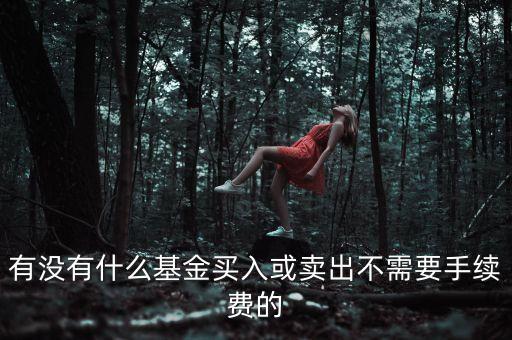 什么基金沒有手續(xù)費，有沒有什么基金買入或賣出不需要手續(xù)費的