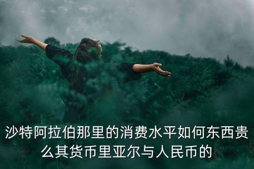 為什么沙特的消費(fèi)水平不是很高，沙特這么富有為什么在世界上地位不高