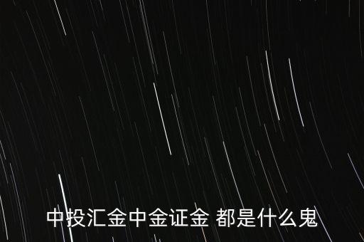 中投匯金中金證金 都是什么鬼