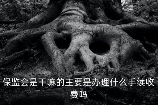保監(jiān)會(huì)是干嘛的主要是辦理什么手續(xù)收費(fèi)嗎