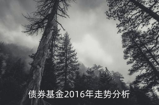 2016年的債券的投資的方向是什么，債券基金2016年走勢分析