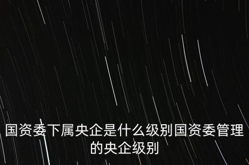 中央企業(yè)專職外部董事是什么級(jí)別，央企比如移動(dòng) 電信 聯(lián)通 中石油石化 這些企業(yè)縣的老總是什么級(jí)別