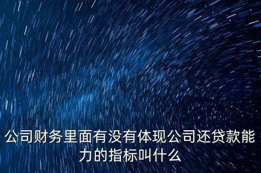 公司財務(wù)里面有沒有體現(xiàn)公司還貸款能力的指標(biāo)叫什么