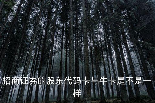 招商證券注冊牛卡是什么，招商證券中股東代碼卡與牛卡是什么關(guān)系