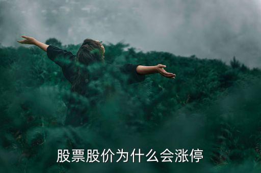 股票股價(jià)為什么會(huì)漲停