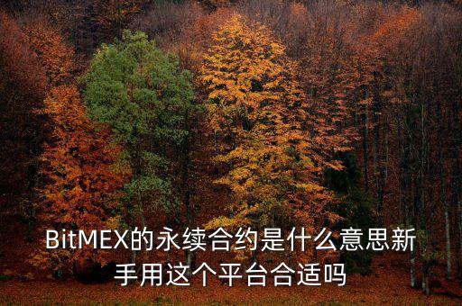 永續(xù)中票是什么意思，BitMEX的永續(xù)合約是什么意思新手用這個平臺合適嗎