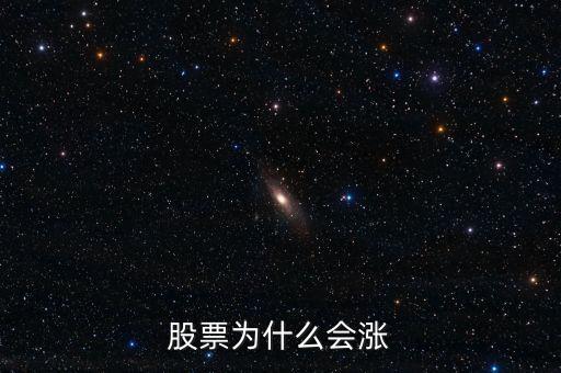 股票為什么會漲
