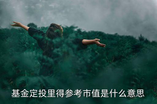 基金的參考市值是什么，基金定投里得參考市值是什么意思