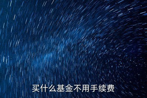 買什么基金不用手續(xù)費