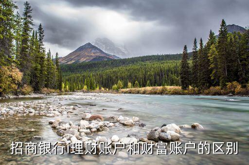 招商銀行i理財(cái)賬戶和財(cái)富賬戶的區(qū)別