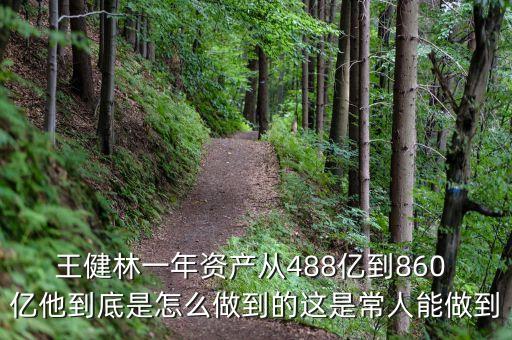 王健林一年資產(chǎn)從488億到860 億他到底是怎么做到的這是常人能做到