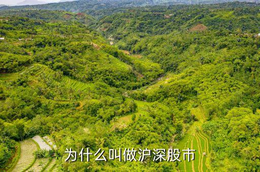 滬深指什么，為什么叫做滬深股市