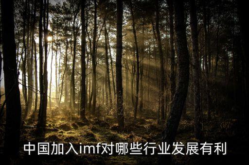 中國加入imf對哪些行業(yè)發(fā)展有利