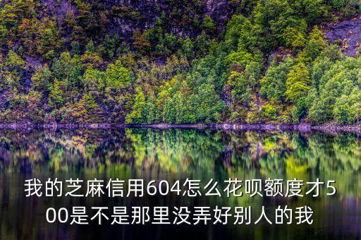 芝麻花唄為什么我才500，為什么我的花唄額度只有500