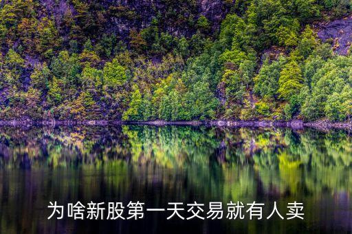 新股為什么有人賣，很好奇為什么新股一上市就會(huì)有人賣股票真的