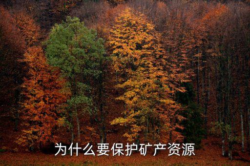 為什么要保護礦產資源