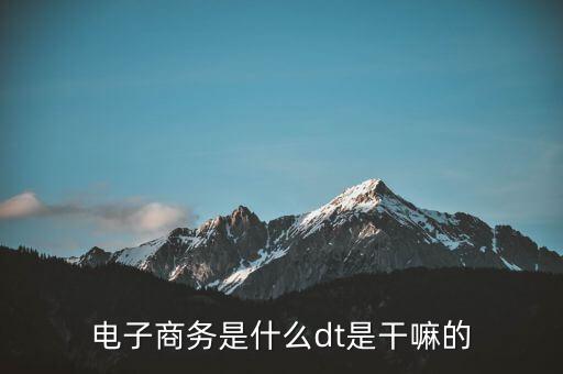 電子商務是什么dt是干嘛的