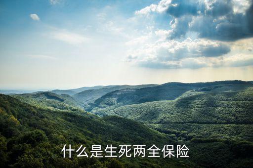 什么是生死兩全保險