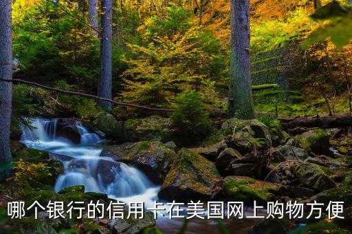 哪個(gè)銀行的信用卡在美國(guó)網(wǎng)上購(gòu)物方便