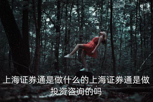 上海證券通是做什么的上海證券通是做投資咨詢的嗎