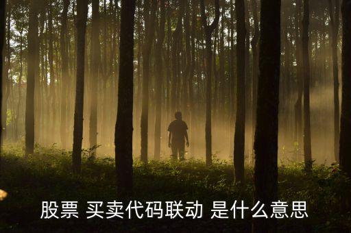 股票 買賣代碼聯(lián)動 是什么意思