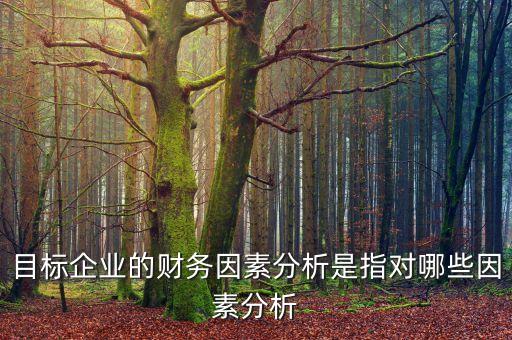 目標(biāo)企業(yè)的財(cái)務(wù)因素分析是指對(duì)哪些因素分析