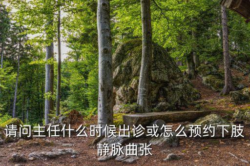 請問主任什么時(shí)候出診或怎么預(yù)約下肢靜脈曲張