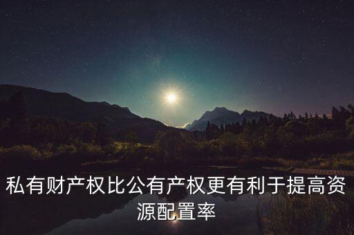 私有財產(chǎn)權(quán)比公有產(chǎn)權(quán)更有利于提高資源配置率