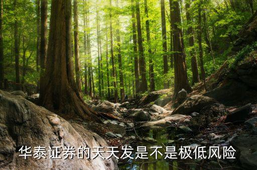 華泰證券的天天發(fā)是不是極低風險