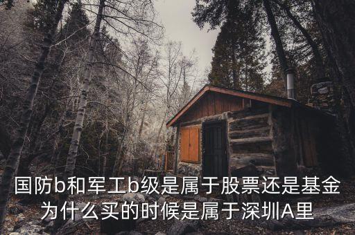 國(guó)防b和軍工b級(jí)是屬于股票還是基金為什么買的時(shí)候是屬于深圳A里