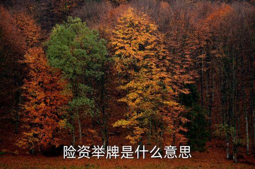 保險(xiǎn)資金舉牌是什么意思，險(xiǎn)資舉牌是什么意思