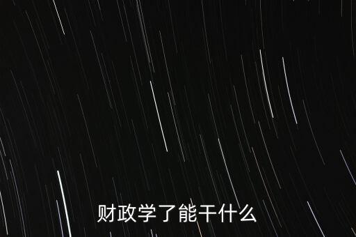財(cái)政學(xué)了能干什么