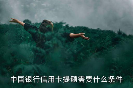 信用卡提升額度需要什么條件，各銀行對(duì)信用卡調(diào)額有什么要求