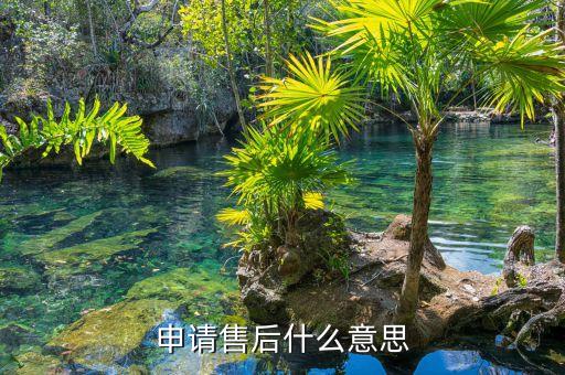 申請售后什么意思