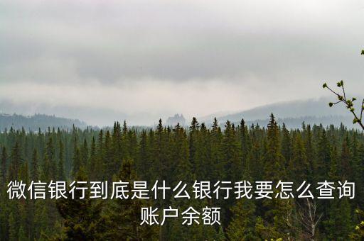 微信銀行到底是什么銀行我要怎么查詢賬戶余額