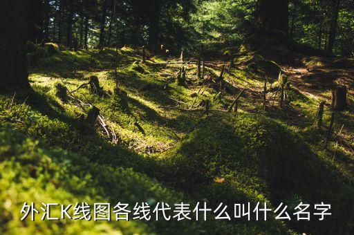 外匯中規(guī)線是什么樣的，外匯中均線和K線分別是什么