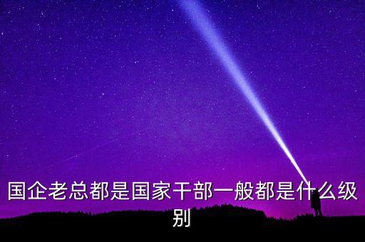 國企老總都是國家干部一般都是什么級別